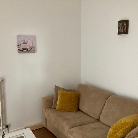Appart Aux Deux Colombes Avec Balcon Et Garage ปามิเยร์ ภายนอก รูปภาพ